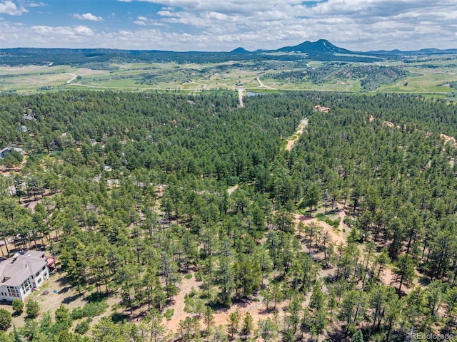 4485 Delaware Dr, Larkspur, CO 80118 - photo 12