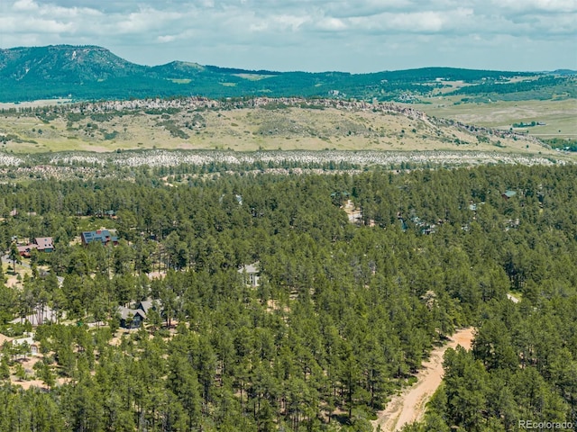 4485 Delaware Dr, Larkspur, CO 80118 - photo 13