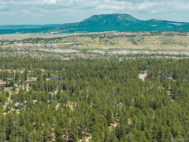 4485 Delaware Dr, Larkspur, CO 80118 - photo 14