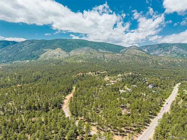 4485 Delaware Dr, Larkspur, CO 80118 - photo 15