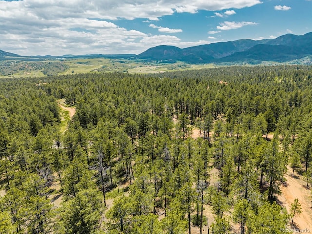 4485 Delaware Dr, Larkspur, CO 80118 - photo 16