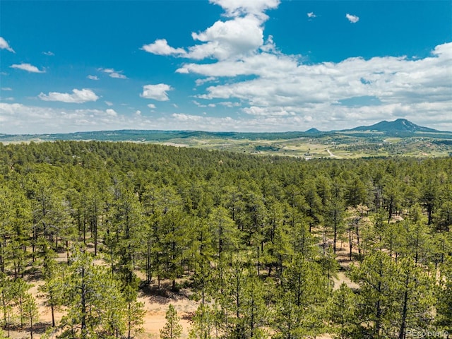 4485 Delaware Dr, Larkspur, CO 80118 - photo 17