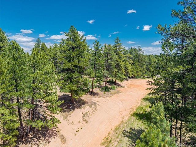 4485 Delaware Dr, Larkspur, CO 80118 - photo 19