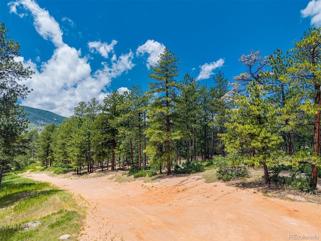 4485 Delaware Dr, Larkspur, CO 80118 - photo 20