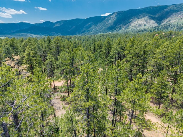 4485 Delaware Dr, Larkspur, CO 80118 - photo 21