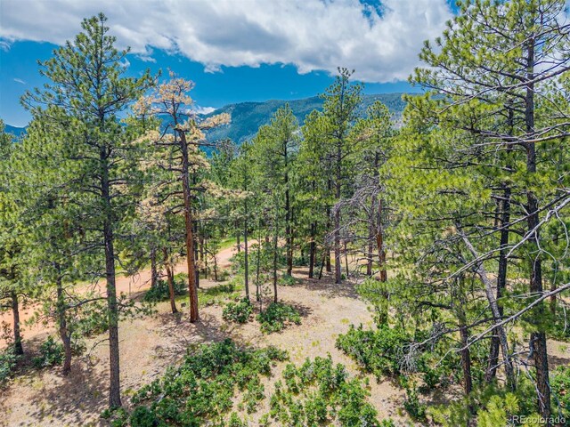 4485 Delaware Dr, Larkspur, CO 80118 - photo 22