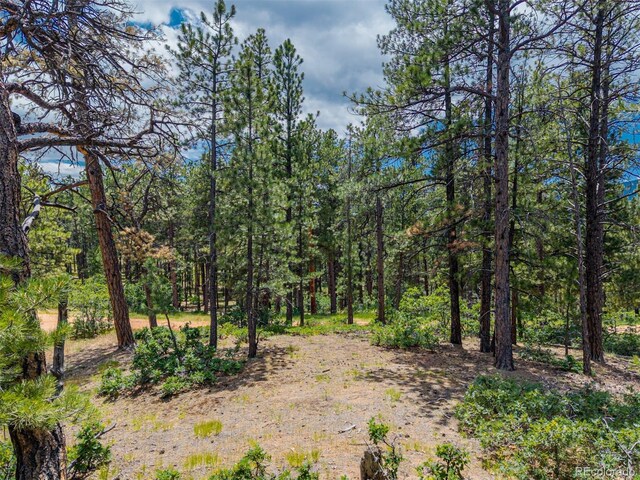4485 Delaware Dr, Larkspur, CO 80118 - photo 23