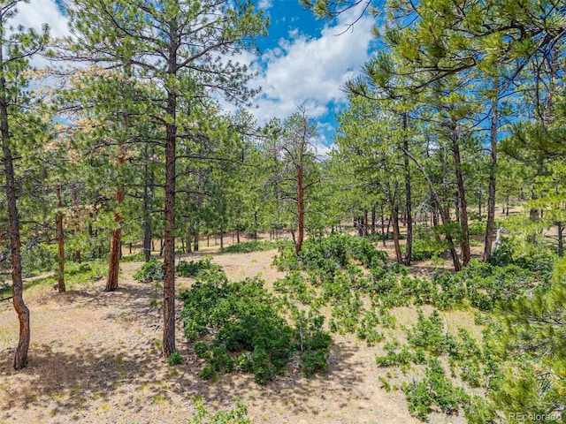 4485 Delaware Dr, Larkspur, CO 80118 - photo 27