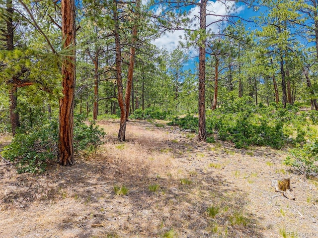 4485 Delaware Dr, Larkspur, CO 80118 - photo 28