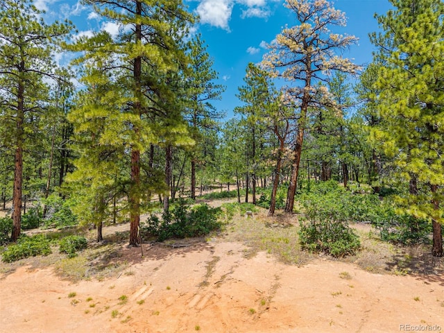 4485 Delaware Dr, Larkspur, CO 80118 - photo 29