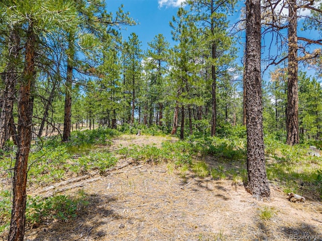 4485 Delaware Dr, Larkspur, CO 80118 - photo 30