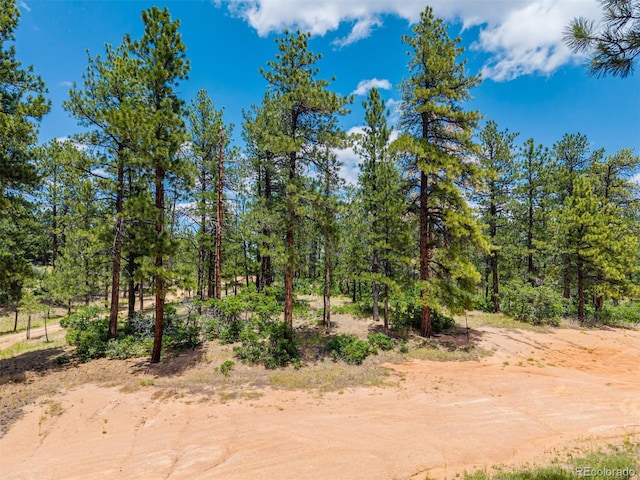 4485 Delaware Dr, Larkspur, CO 80118 - photo 31