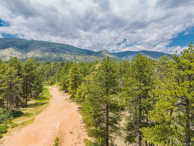 4485 Delaware Dr, Larkspur, CO 80118 - photo 32