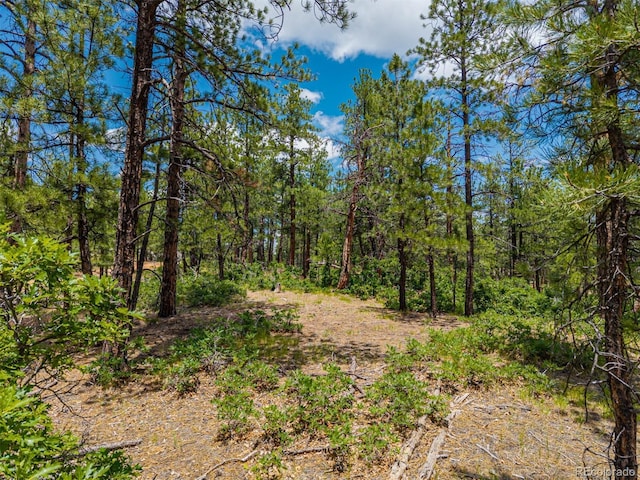 4485 Delaware Dr, Larkspur, CO 80118 - photo 33