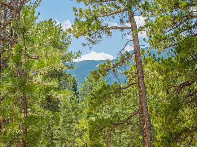 4485 Delaware Dr, Larkspur, CO 80118 - photo 34
