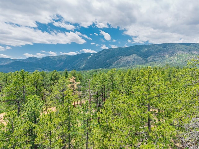 4485 Delaware Dr, Larkspur, CO 80118 - photo 35