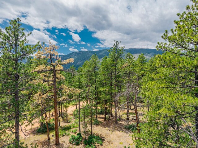 4485 Delaware Dr, Larkspur, CO 80118 - photo 36