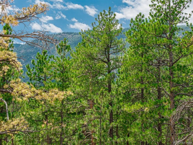 4485 Delaware Dr, Larkspur, CO 80118 - photo 37
