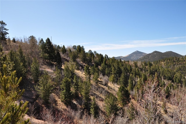 67 Ajax Ct, Florissant, CO 80816 - photo 2