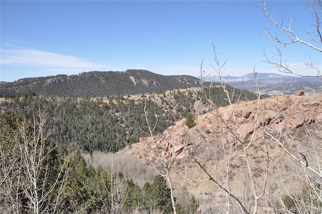 67 Ajax Ct, Florissant, CO 80816 - photo 4