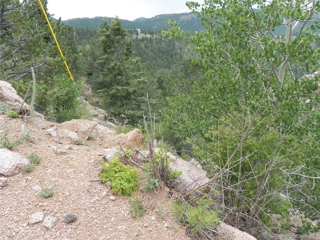 67 Ajax Ct, Florissant, CO 80816 - photo 7