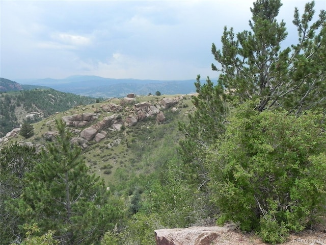 67 Ajax Ct, Florissant, CO 80816 - photo 8