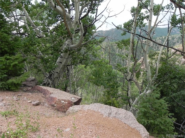 67 Ajax Ct, Florissant, CO 80816 - photo 9