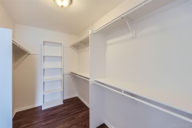 walk in closet with dark wood-type flooring