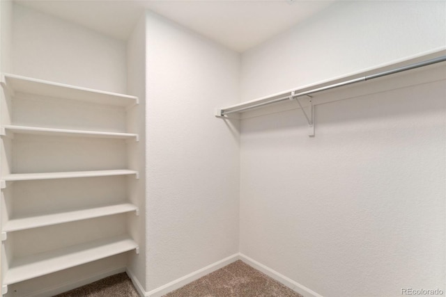 3350 Boulder Cir Unit 201, Broomfield, CO 80023 - photo 10