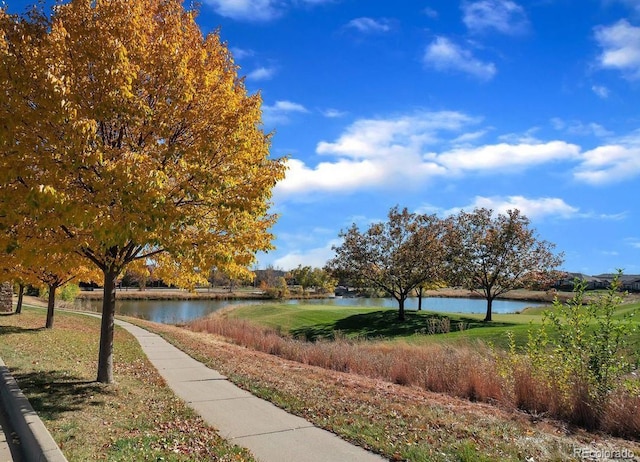 3350 Boulder Cir Unit 201, Broomfield, CO 80023 - photo 17
