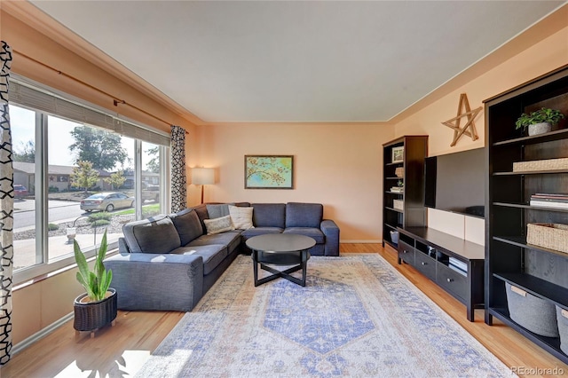 living room with hardwood / wood-style flooring