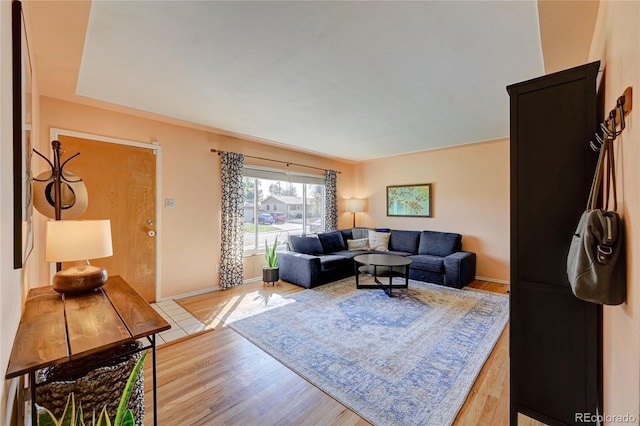 living room featuring wood-type flooring