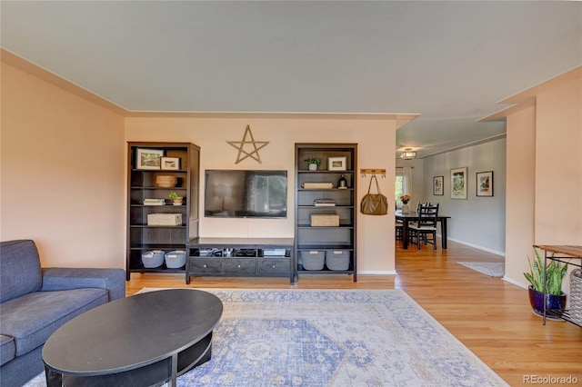 living room with hardwood / wood-style floors