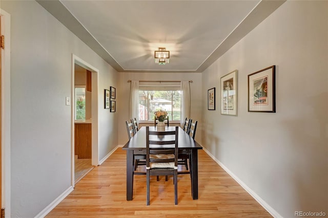 dining room with light hardwood / wood-style floors