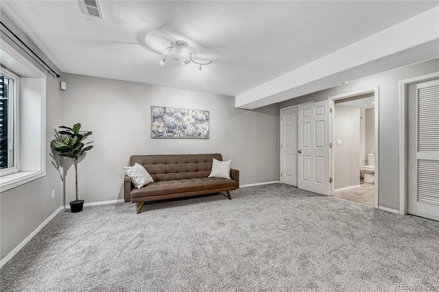 sitting room with light carpet and a textured ceiling