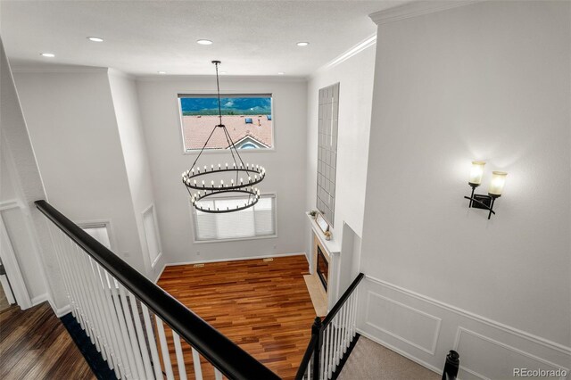 206 Luxury Ln, Colorado Springs, CO 80921 - photo 23