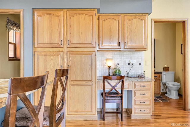interior space featuring tasteful backsplash and light wood-type flooring