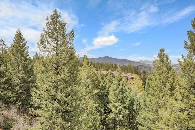 view of mountain feature featuring a forest view