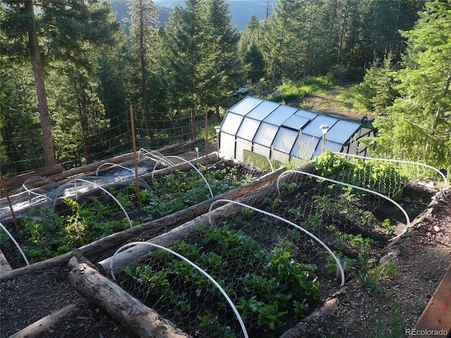 view of yard featuring a view of trees, an outbuilding, an exterior structure, and a garden
