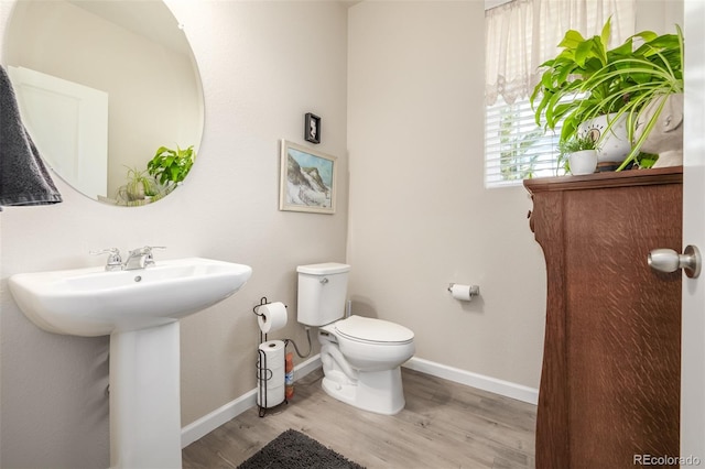 bathroom featuring sink, hardwood / wood-style floors, and toilet