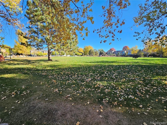 9448 E Florida Ave Unit 1078, Denver, CO 80247 - surrounding community with a yard