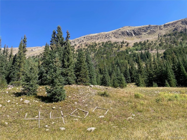 4400 4th Of July Rd, Nederland, CO 80466