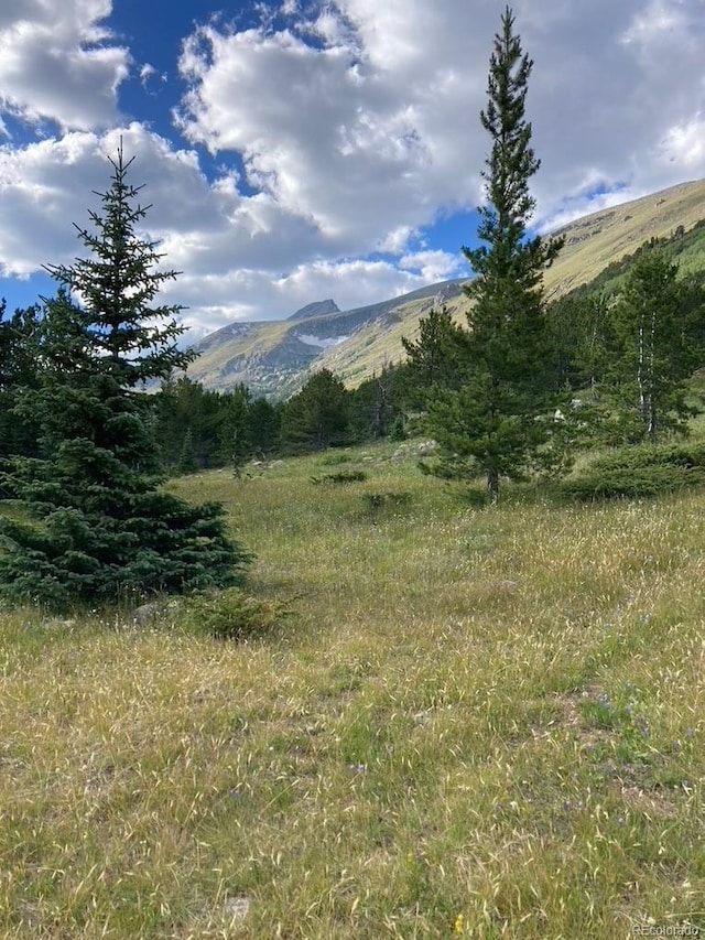 4400 4th Of July Rd, Nederland, CO 80466