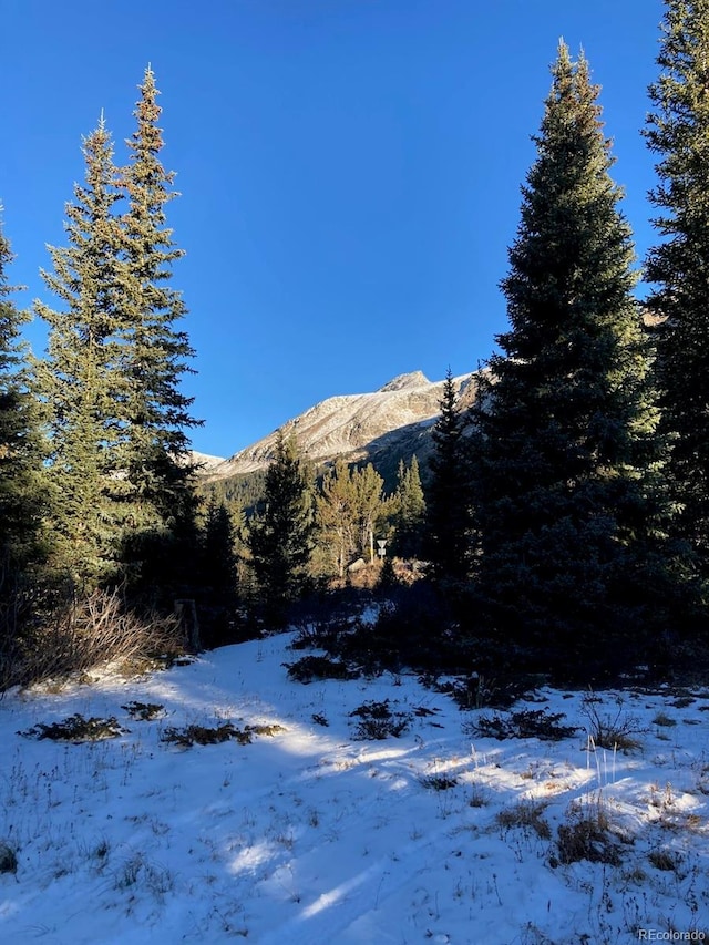 4400 4th Of July Rd, Nederland, CO 80466