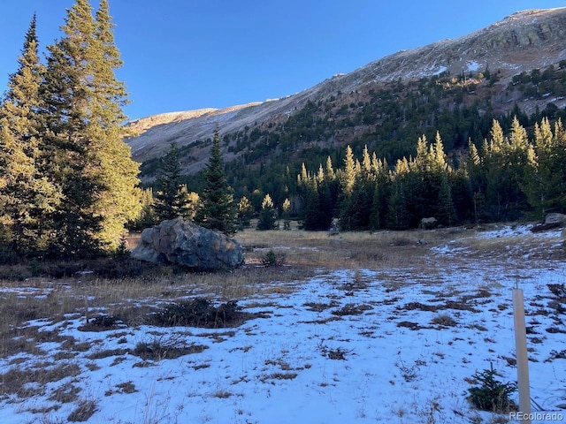 4400 4th Of July Rd, Nederland, CO 80466