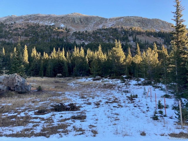 4400 4th Of July Rd, Nederland, CO 80466