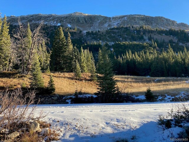 4400 4th Of July Rd, Nederland, CO 80466