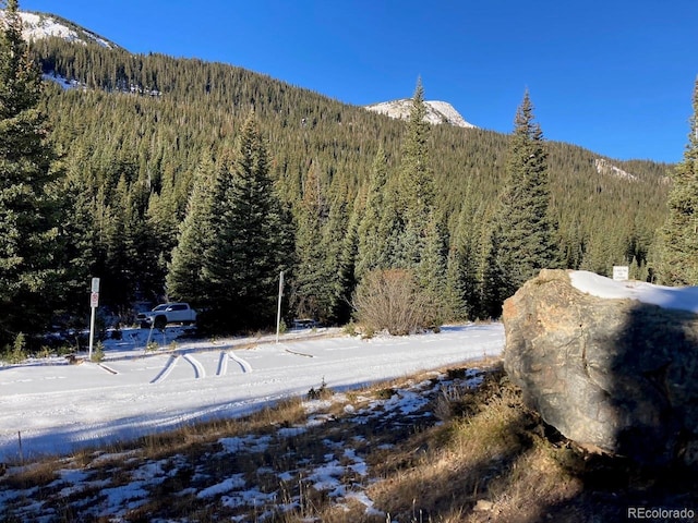 4400 4th Of July Rd, Nederland, CO 80466