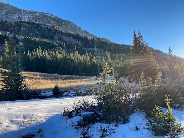 4400 4th Of July Rd, Nederland, CO 80466