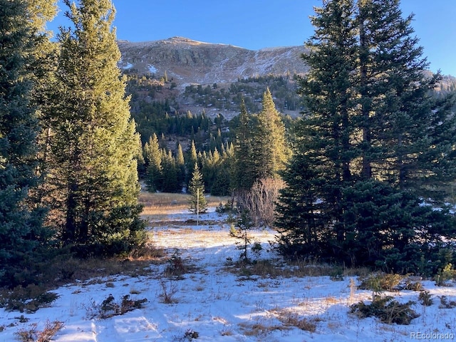 4400 4th Of July Rd, Nederland, CO 80466